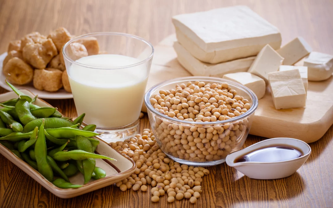 The Great Soy Debate