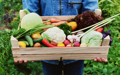 March’s Seasonal Produce: Nourishing Your Health Goals into Autumn