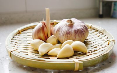 Support Your Gut Health and Immunity This Winter with the Right Foods