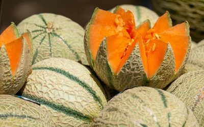 What’s in season: February